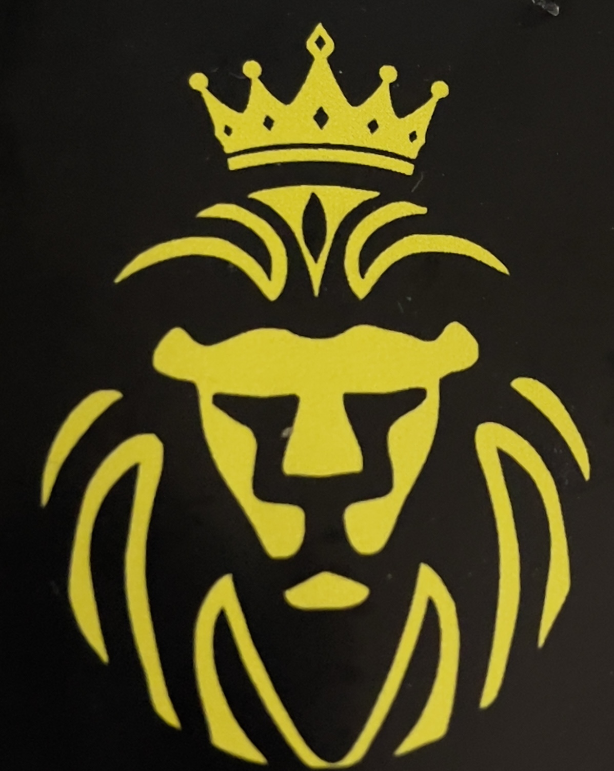 Punjabi Kings logo
